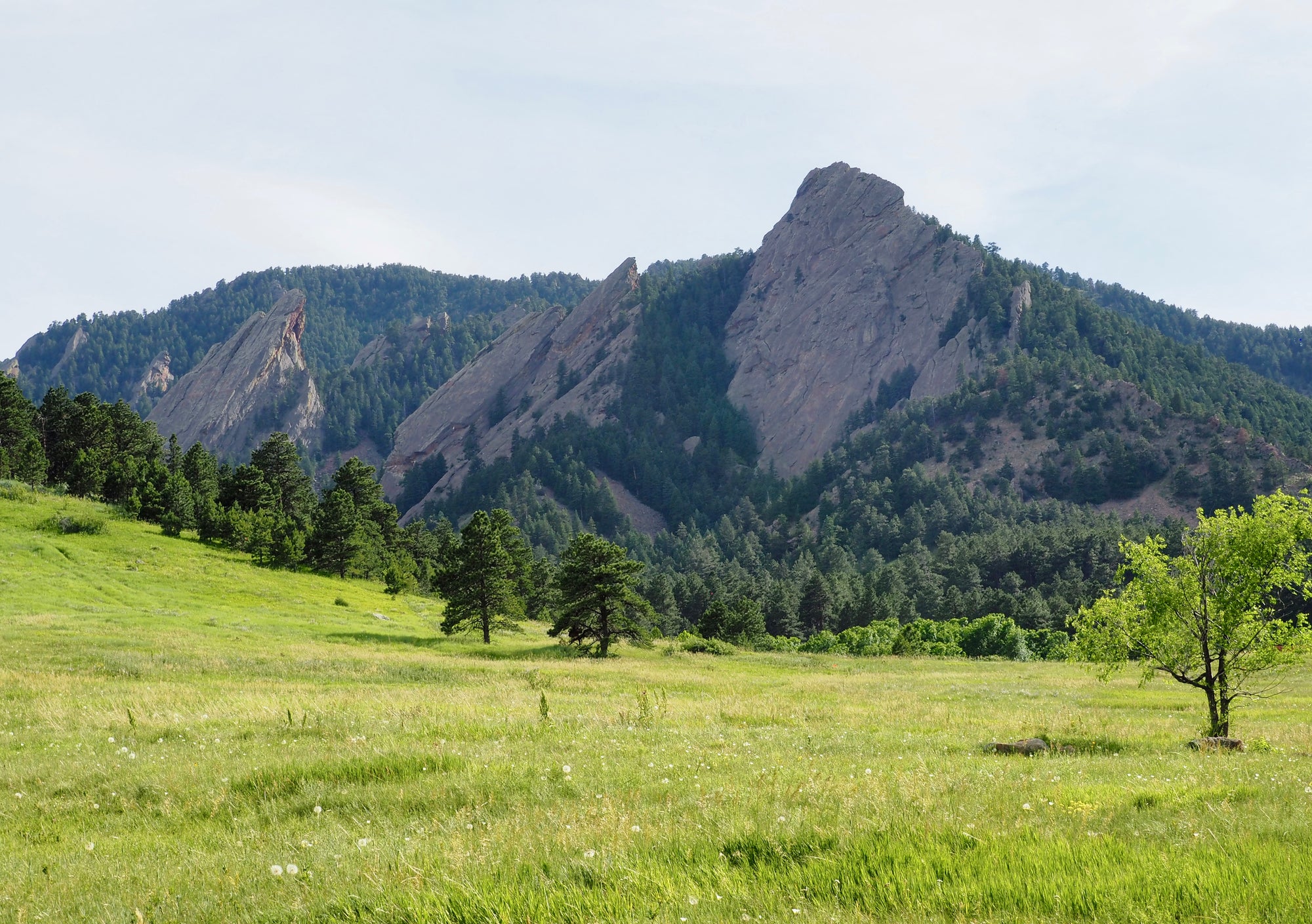 Guest Post: Get Outside with Food to Feel Good